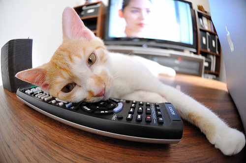 九游体育直播-_掘金士气高昂，攻防两端表现出色_，掘金的战术