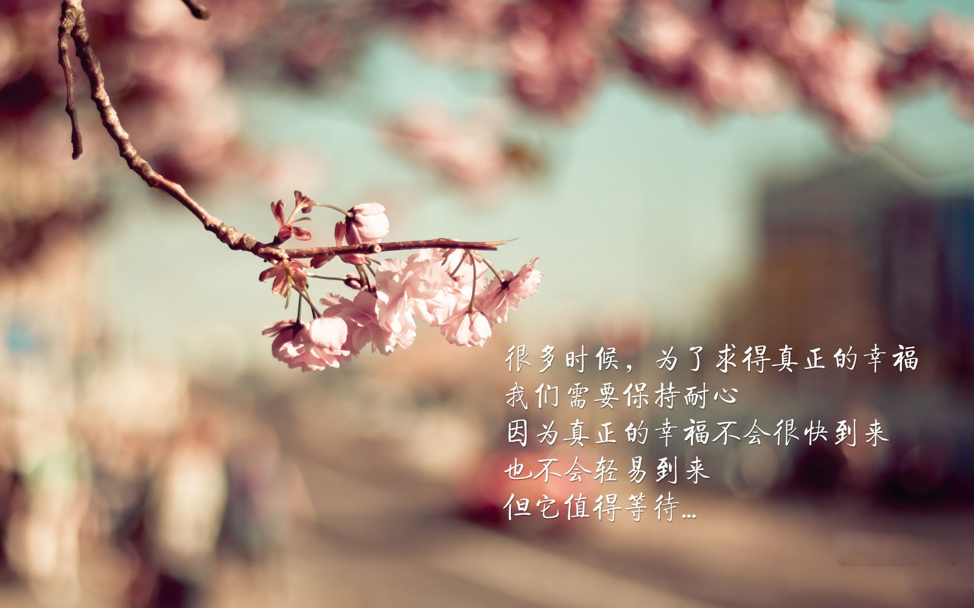 【激烈对决】道奇vs教士，胜负悬念到最后一刻，道奇对标