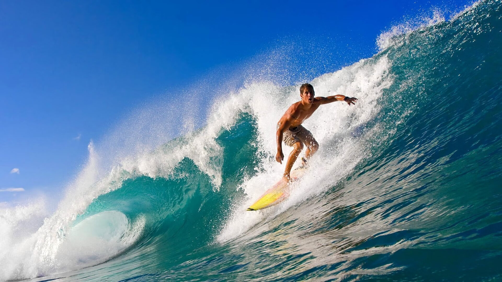 九游平台-南非橄榄球赛事的全球化进程加速，未来发展潜力无穷，南非橄榄球比赛